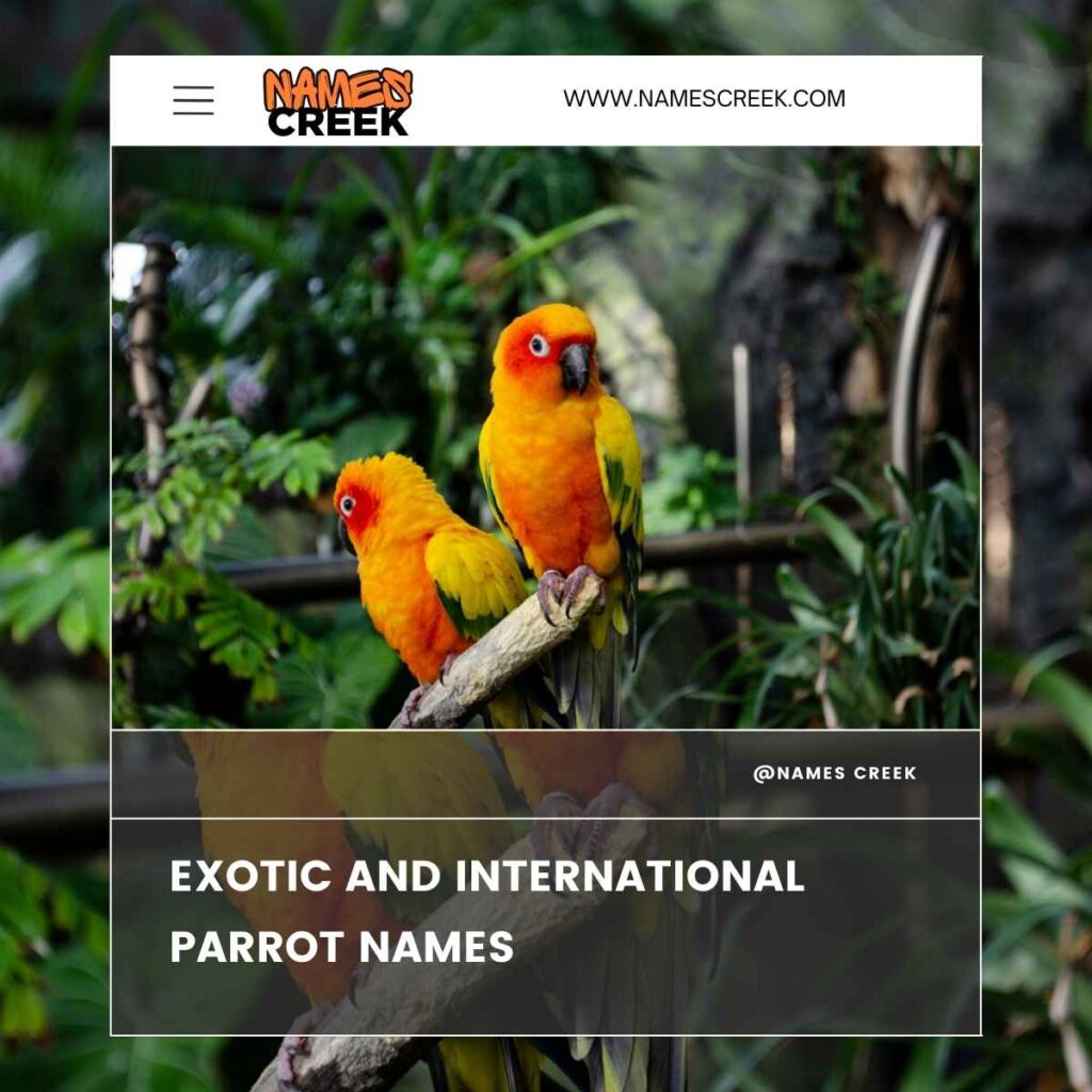 Exotic and International Parrot Names