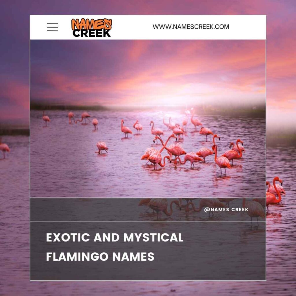 Exotic and Mystical Flamingo Names