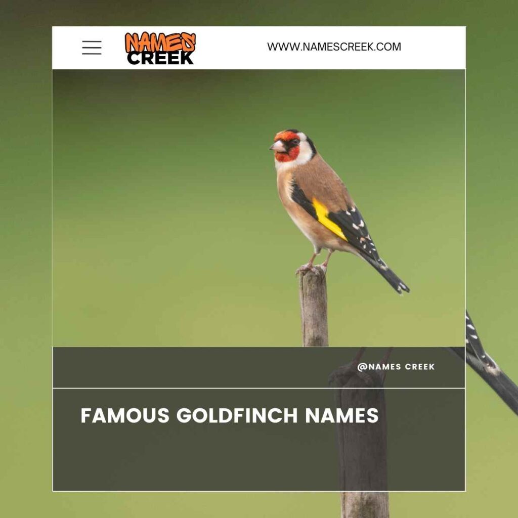 Famous Goldfinch Names