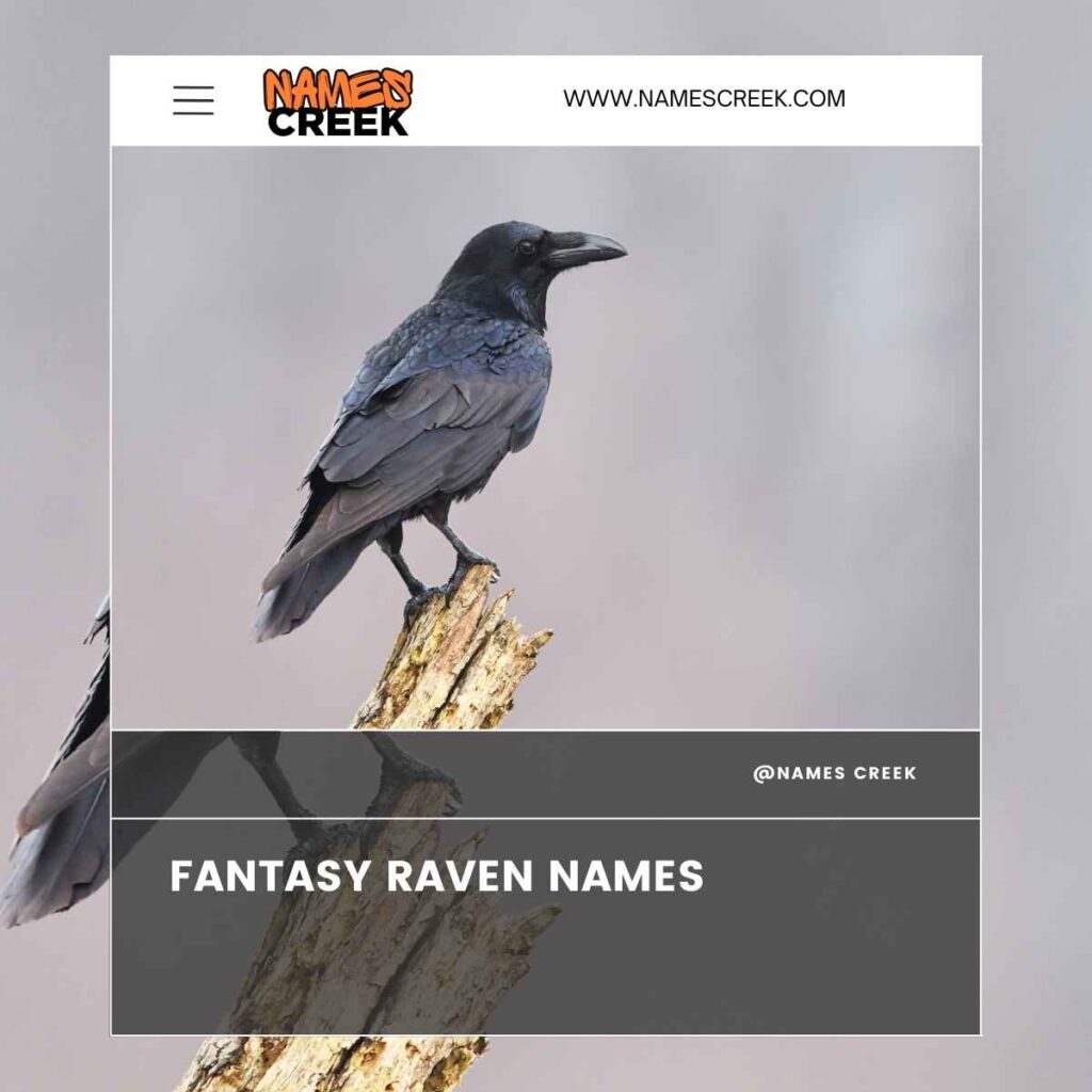 Fantasy Raven Names