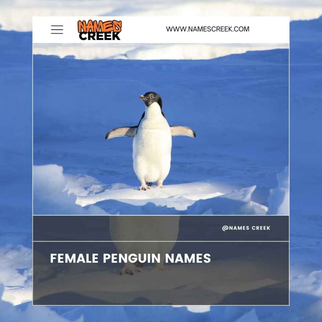 Female Penguin Names