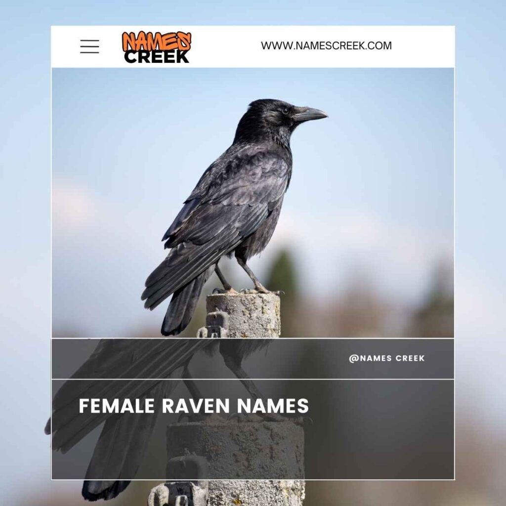 Female Raven Names