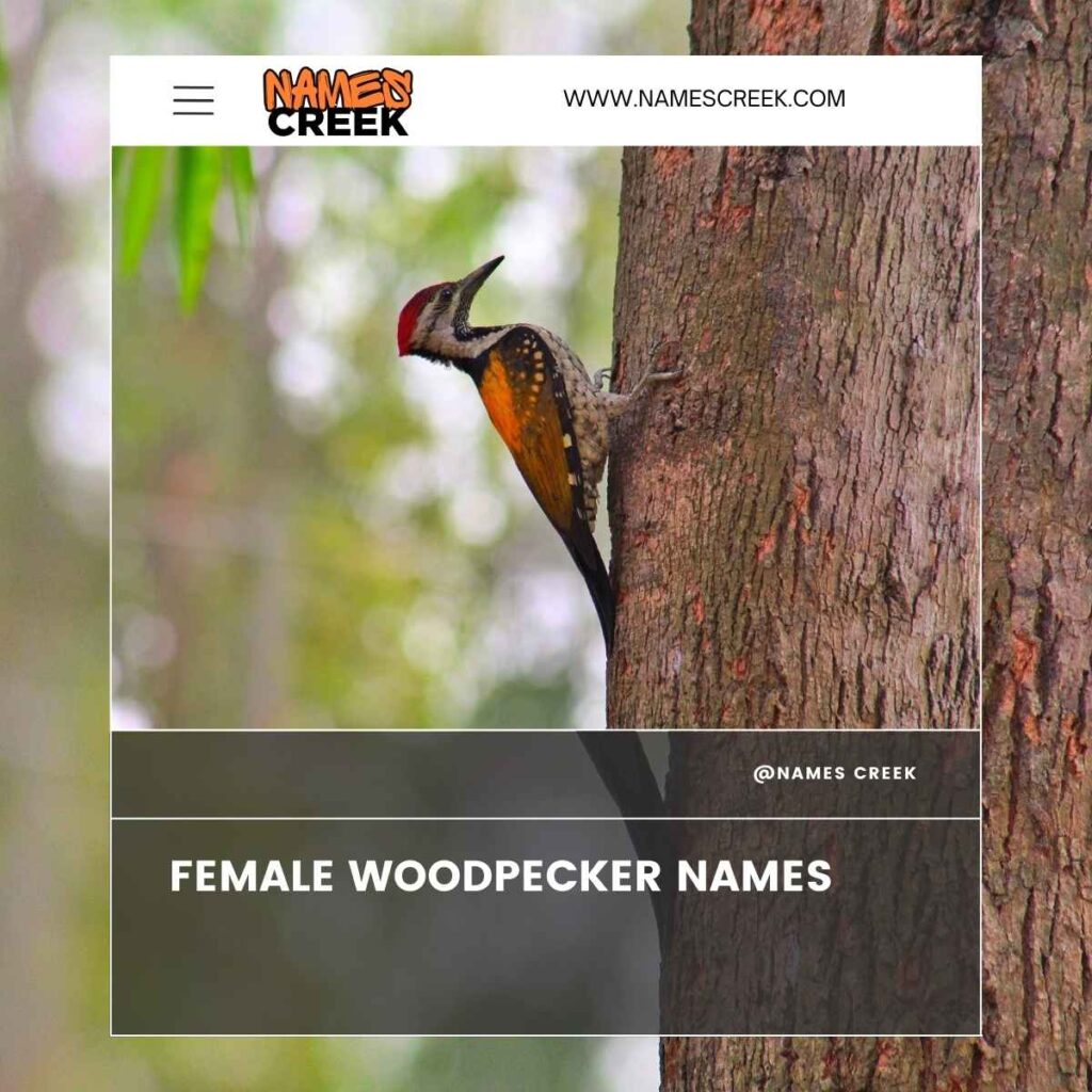 Female Woodpecker Names