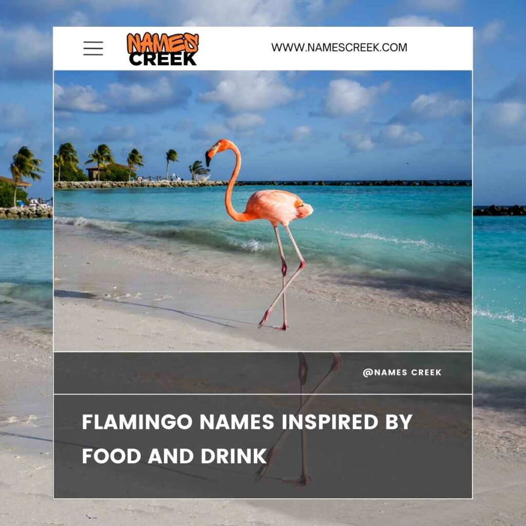 Flamingo Names Inspired by Food and Drink