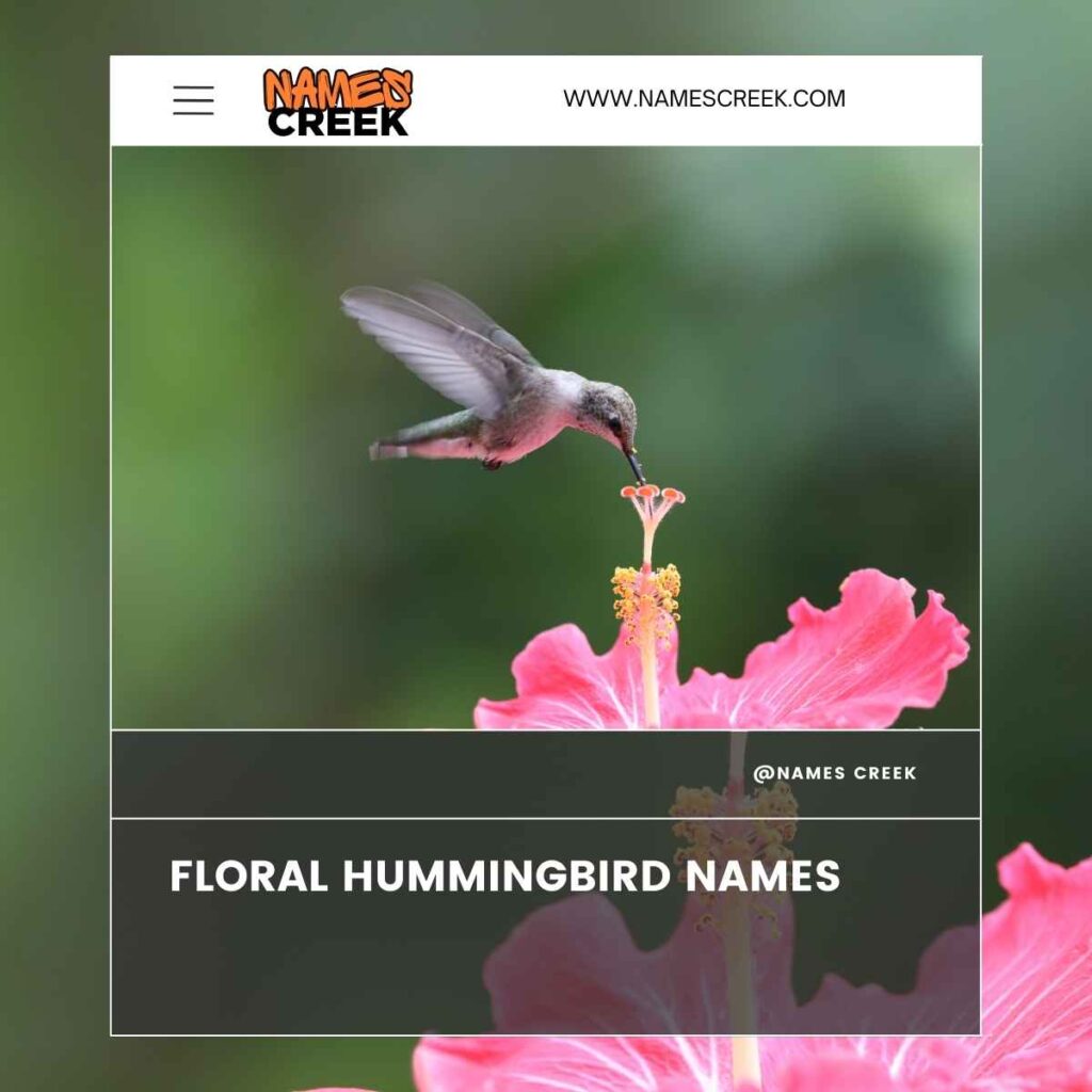 Floral Hummingbird Names