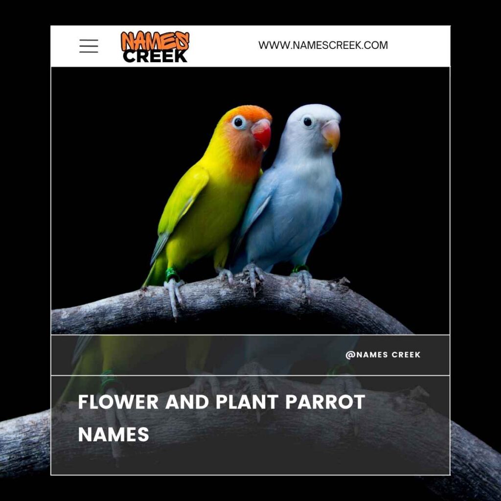 Flower and Plant Parrot Names