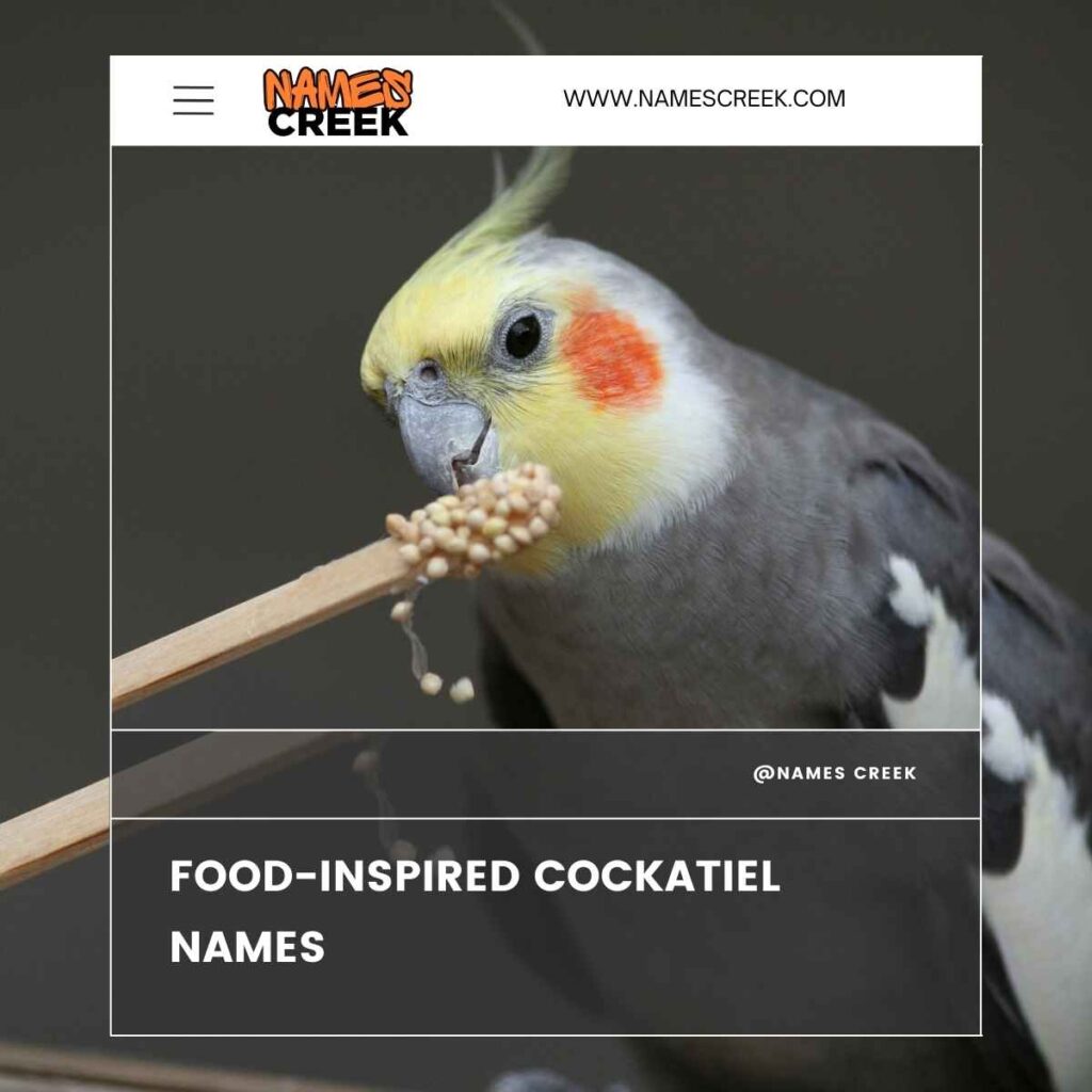 Food-Inspired Cockatiel Names