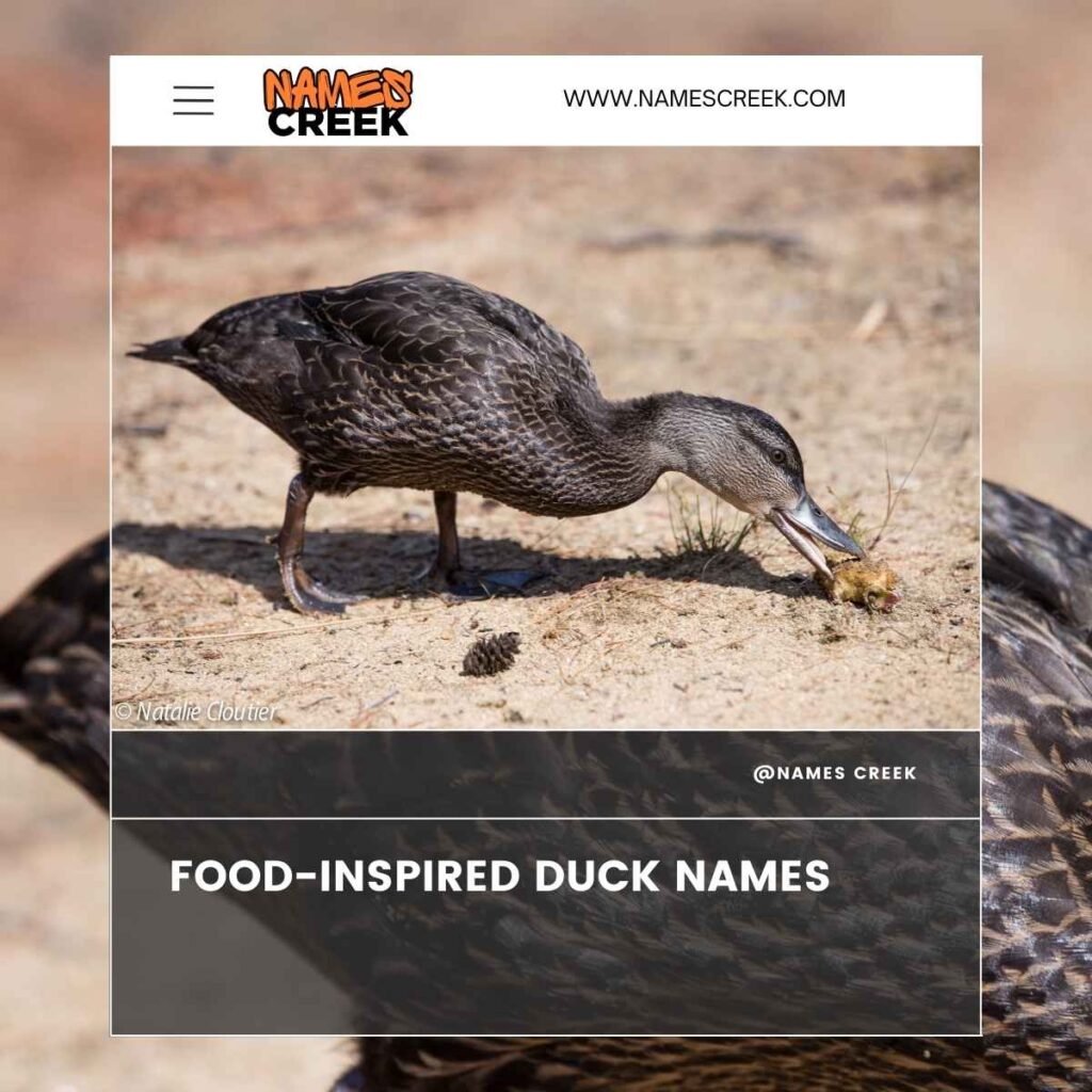 Food-Inspired Duck Names