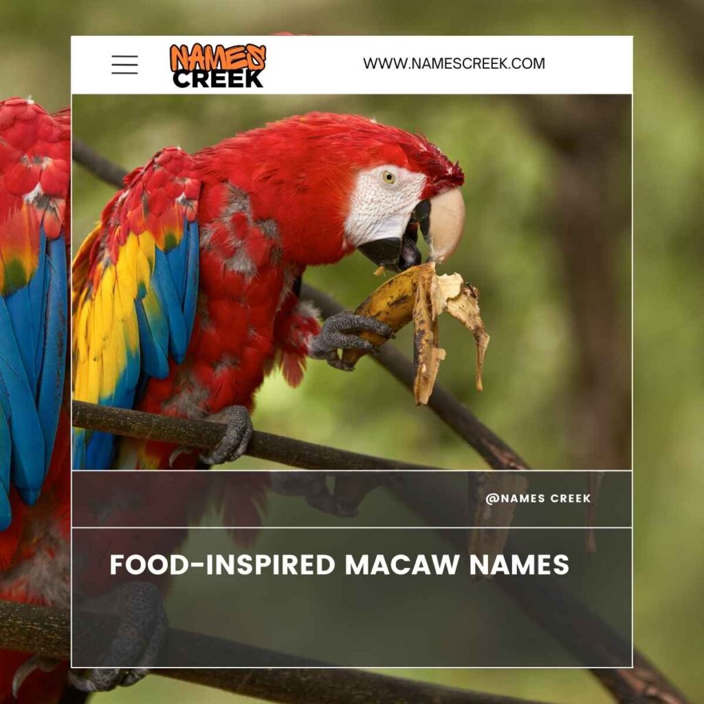 Food-Inspired Macaw Names