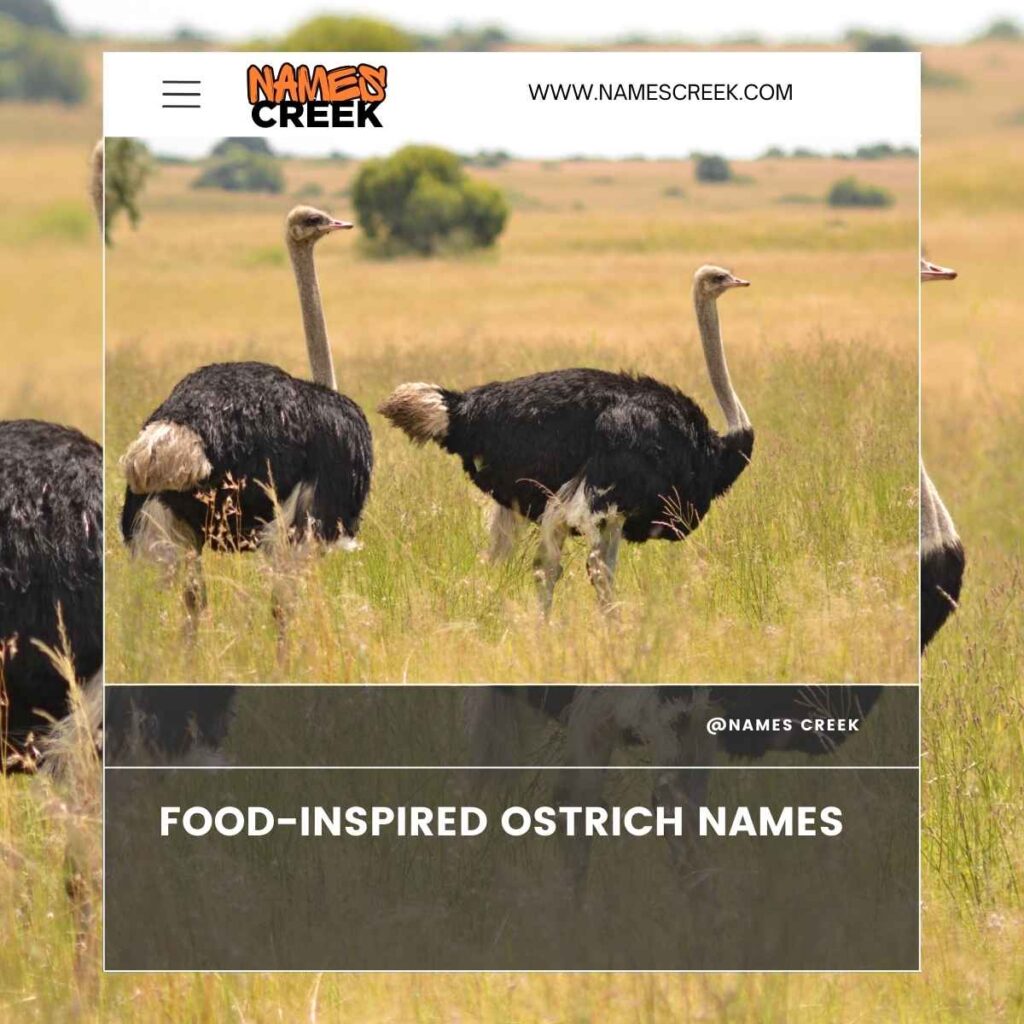 Food-Inspired Ostrich Names