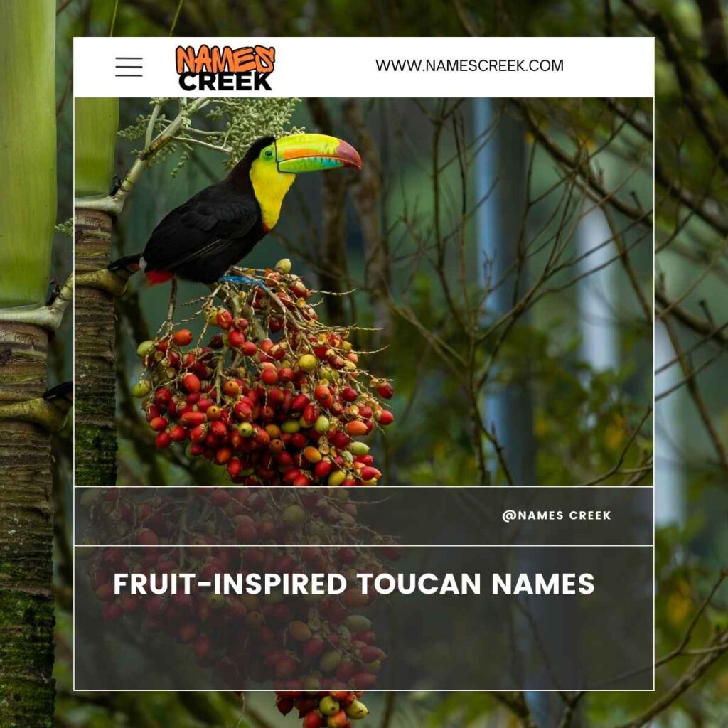 Fruit-Inspired Toucan Names