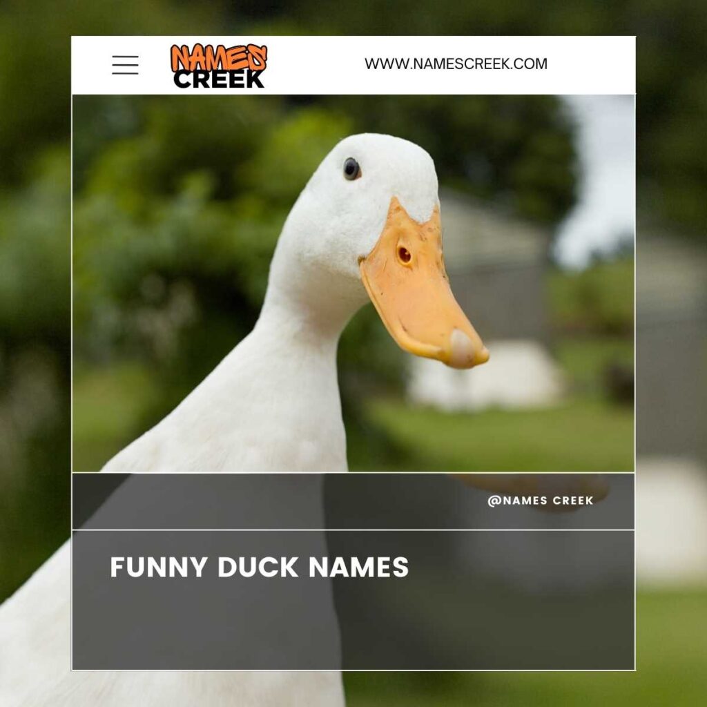 Funny Duck Names