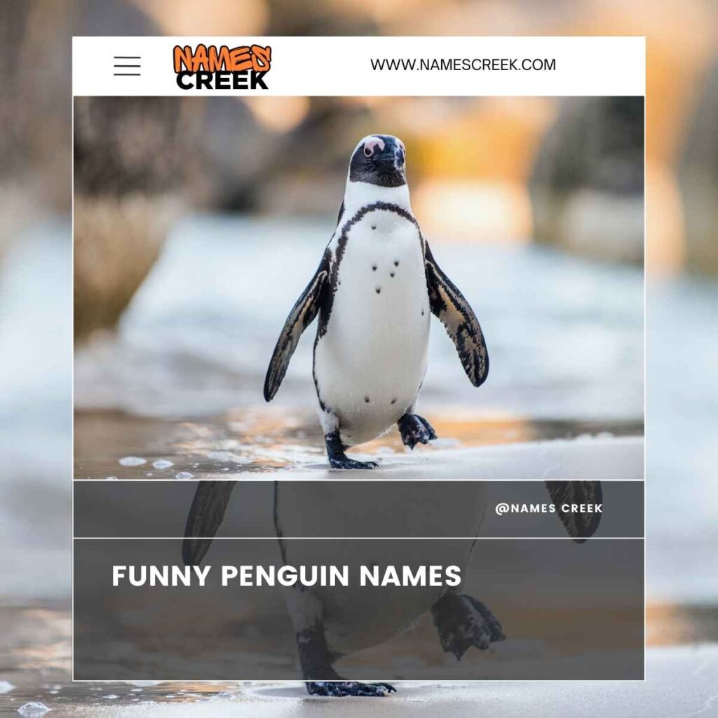 Funny Penguin Names