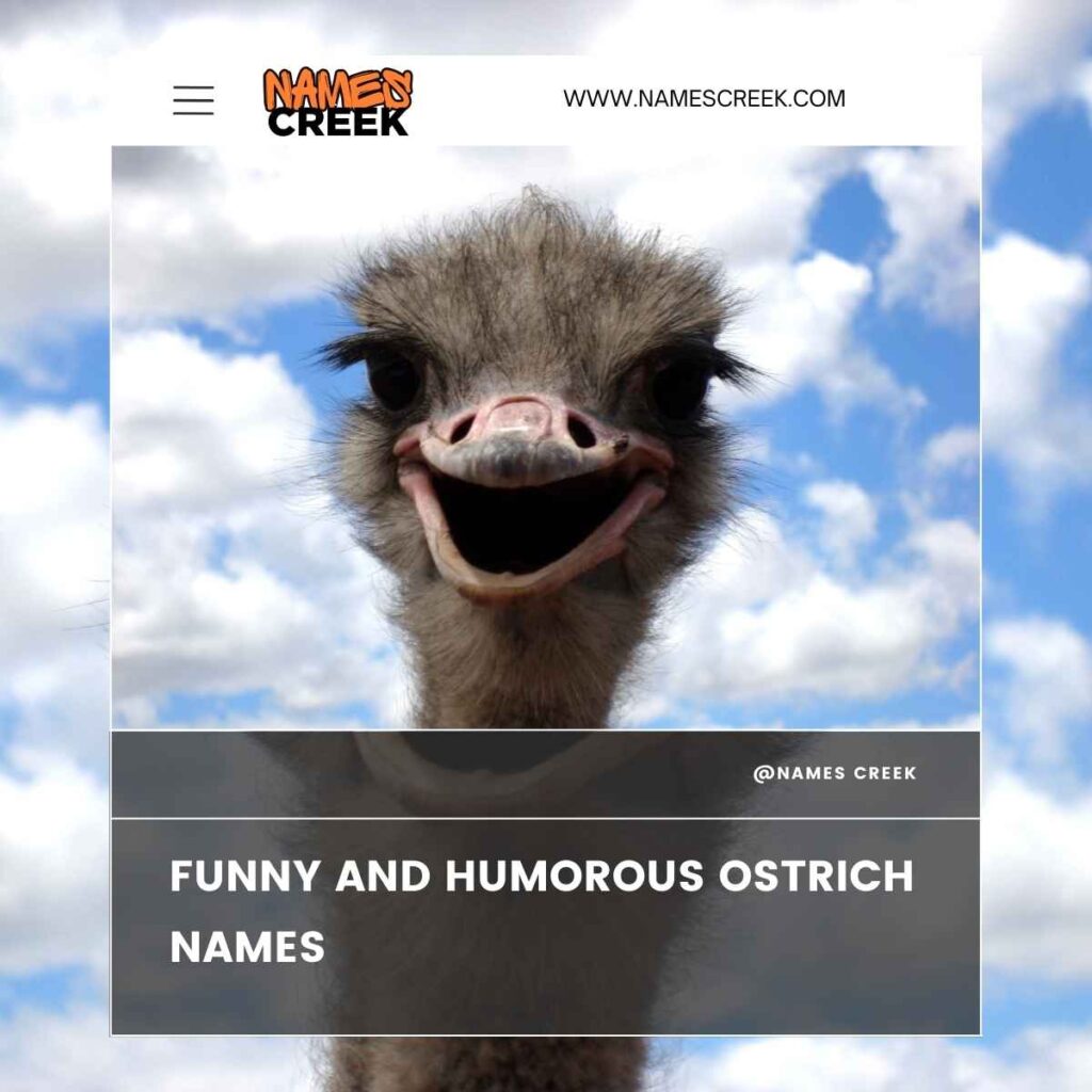 Funny and Humorous Ostrich Names