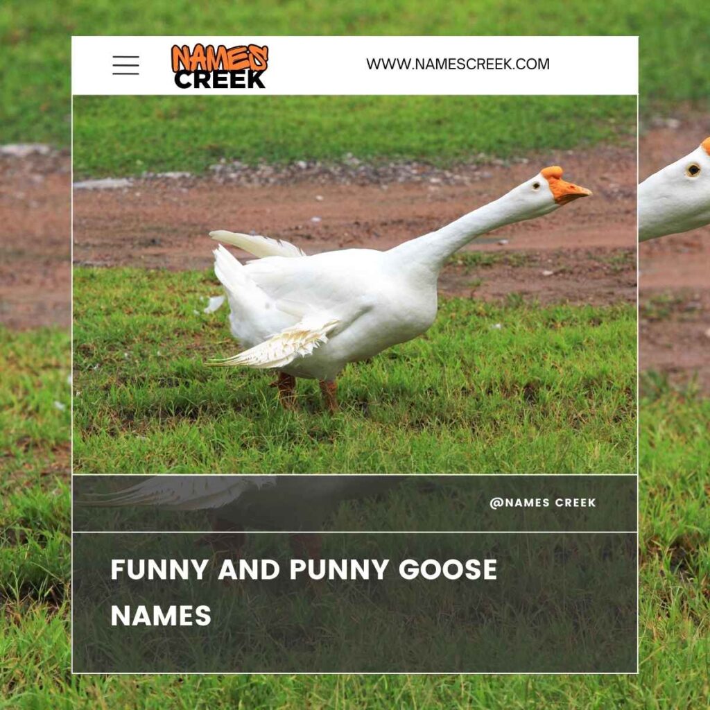 Funny and Punny Goose Names