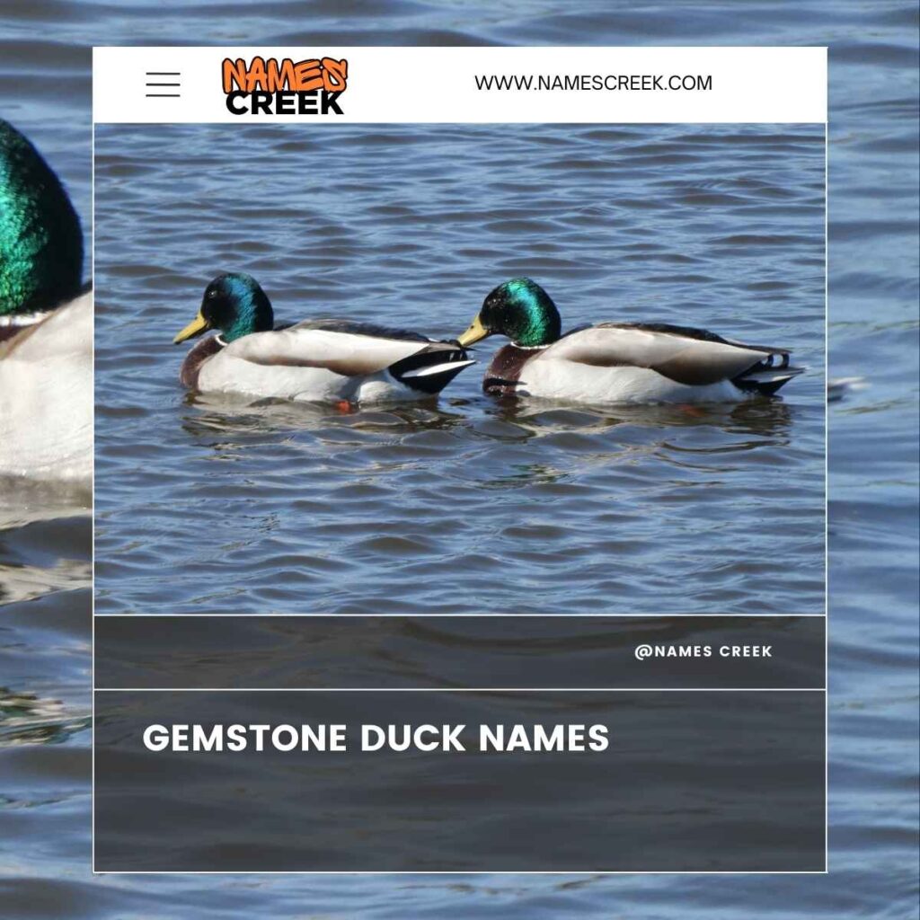 Gemstone Duck Names