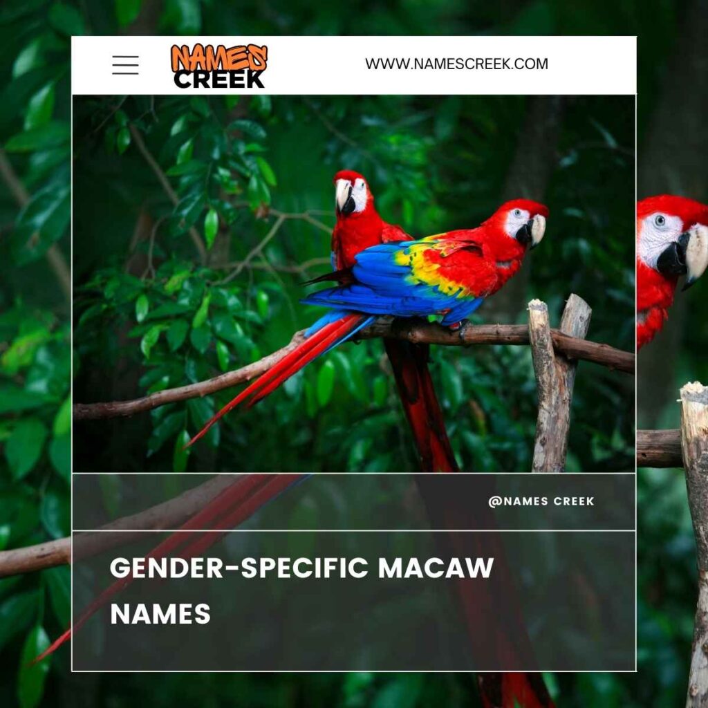 Gender-Specific Macaw Names