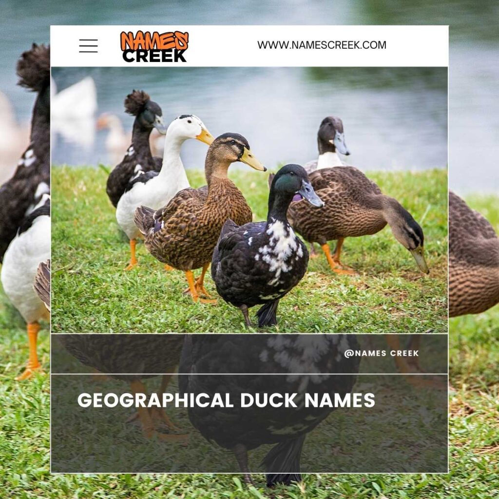 Geographical Duck Names