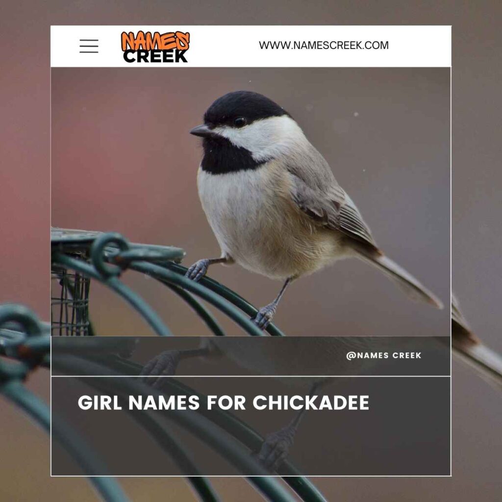 Girl Names for Chickadee