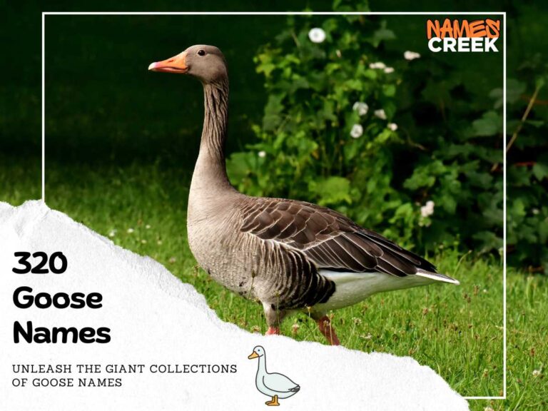 320 Goose Names For Your Pet Friend