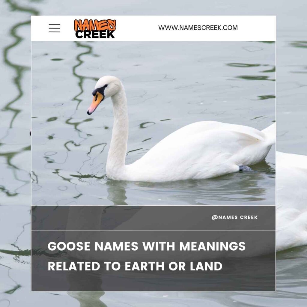 Goose Names with Meanings Related to Earth or Land