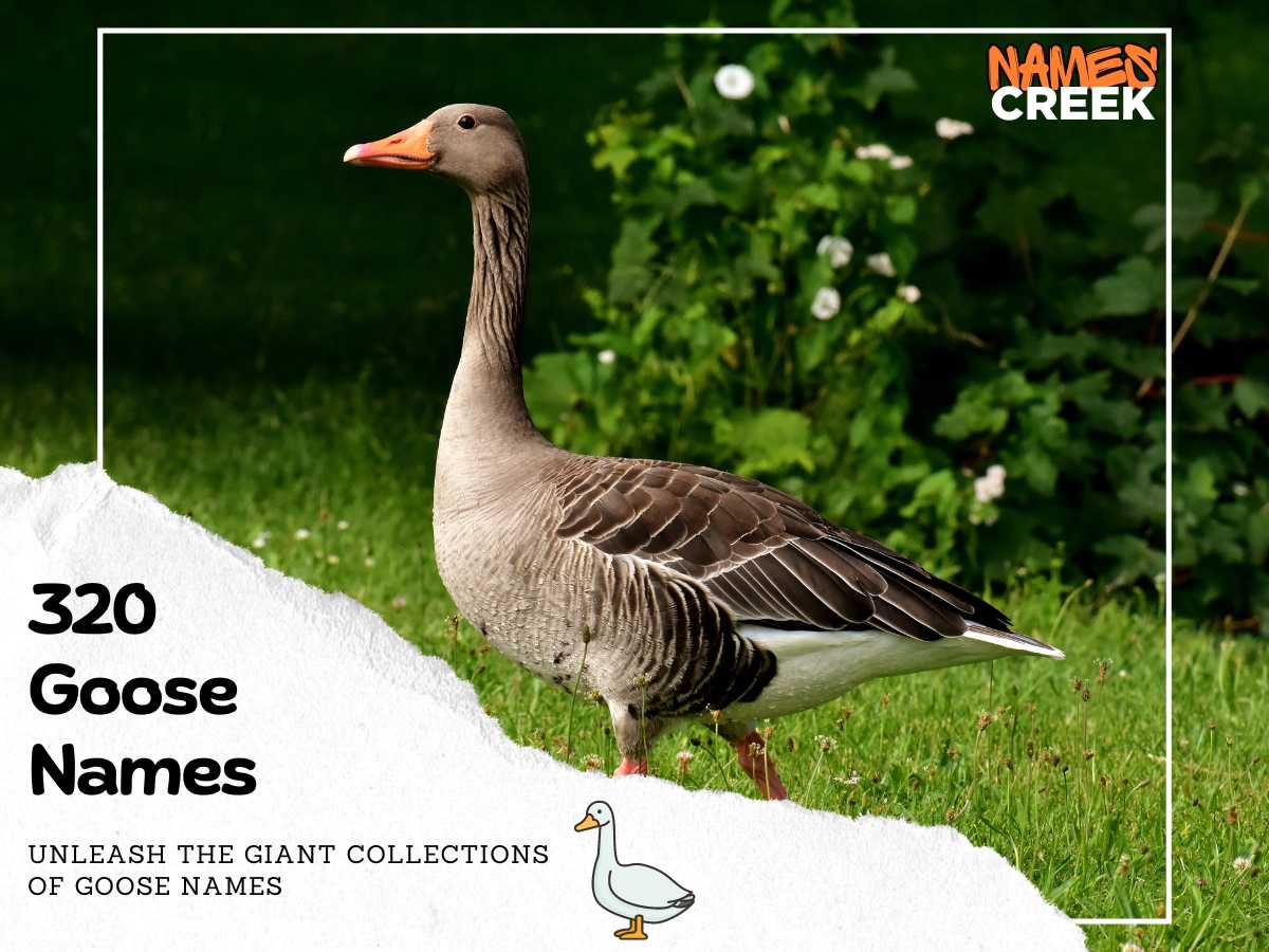 Goose Names