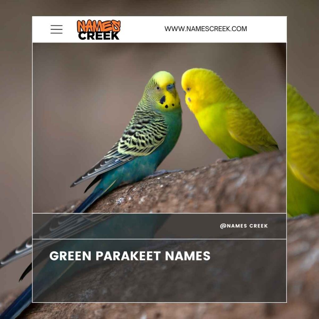 Green Parakeet Names