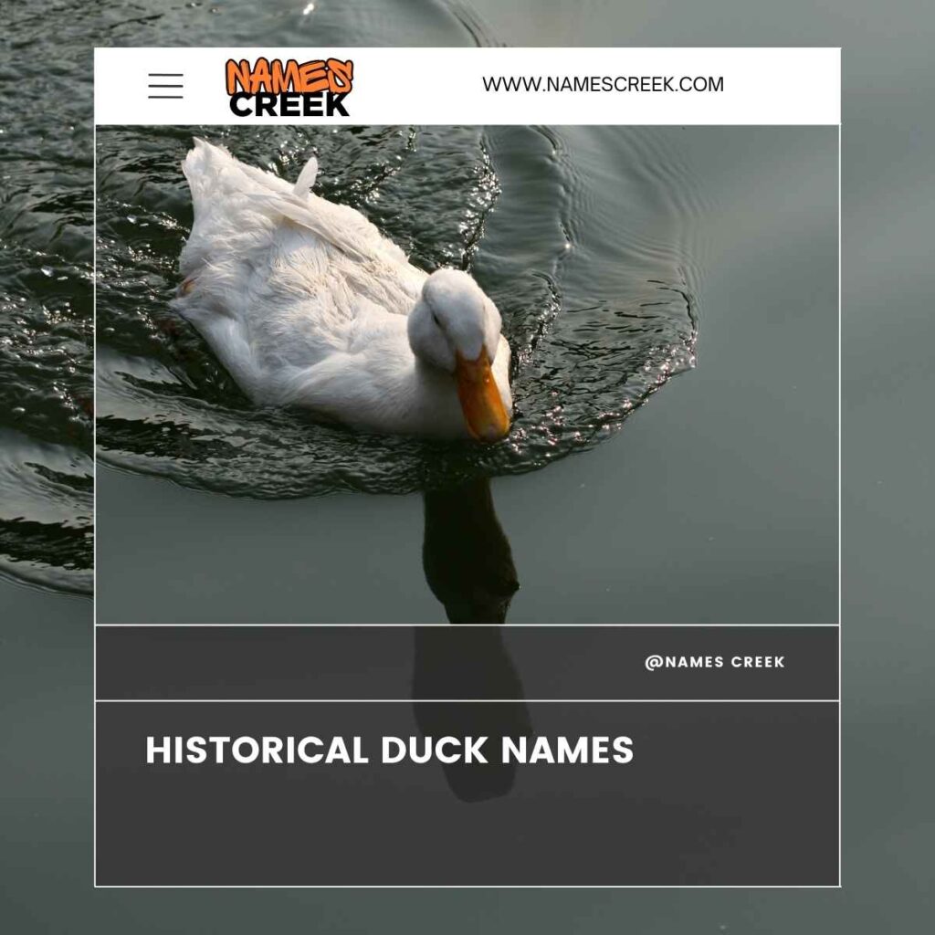 Historical Duck Names