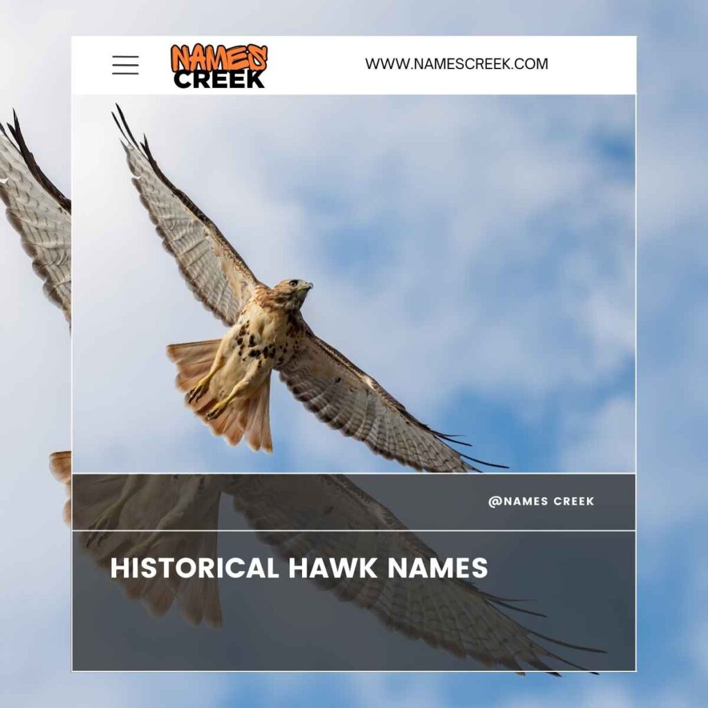 Historical Hawk Names