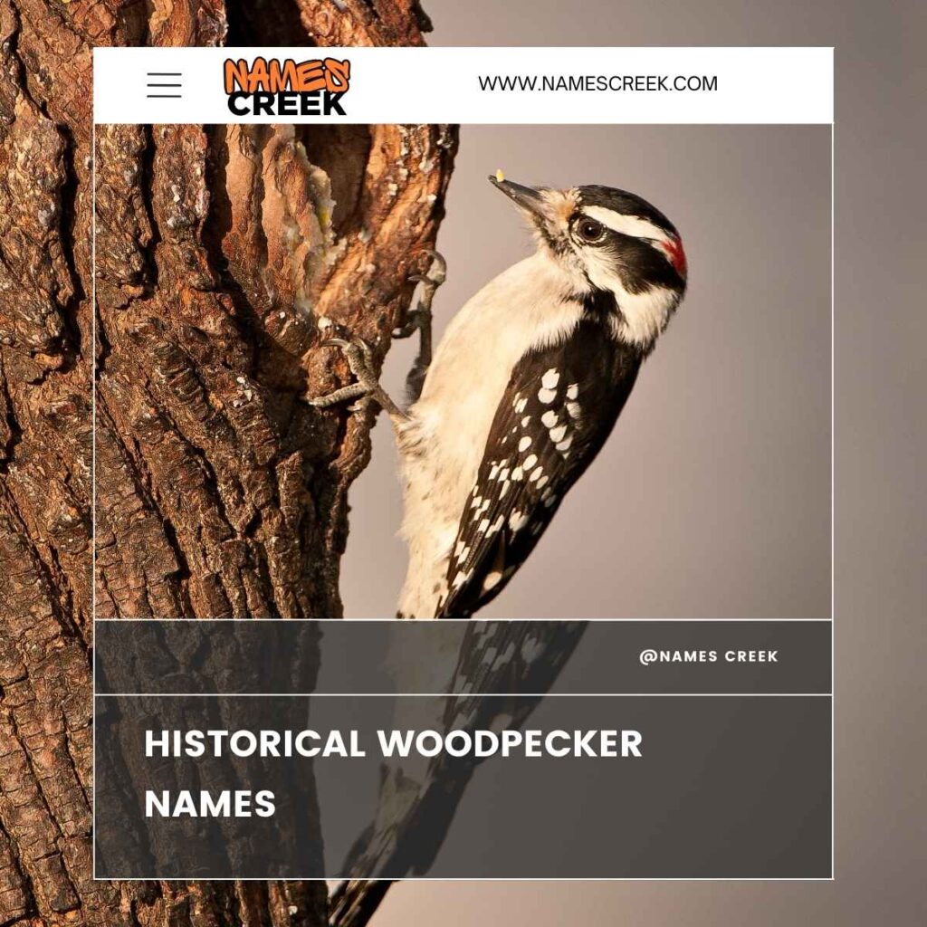 Historical Woodpecker Names