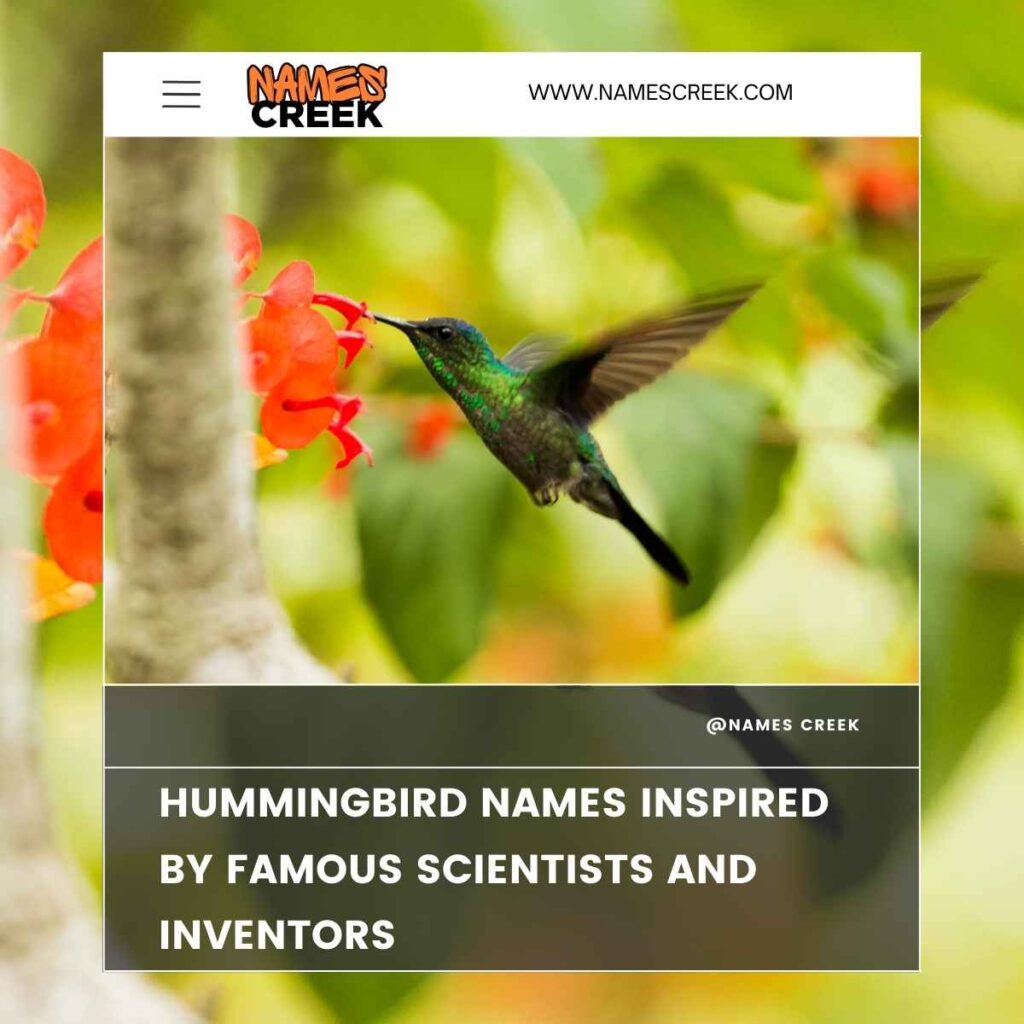 Hummingbird Names Inspired by Famous Scientists and Inventors