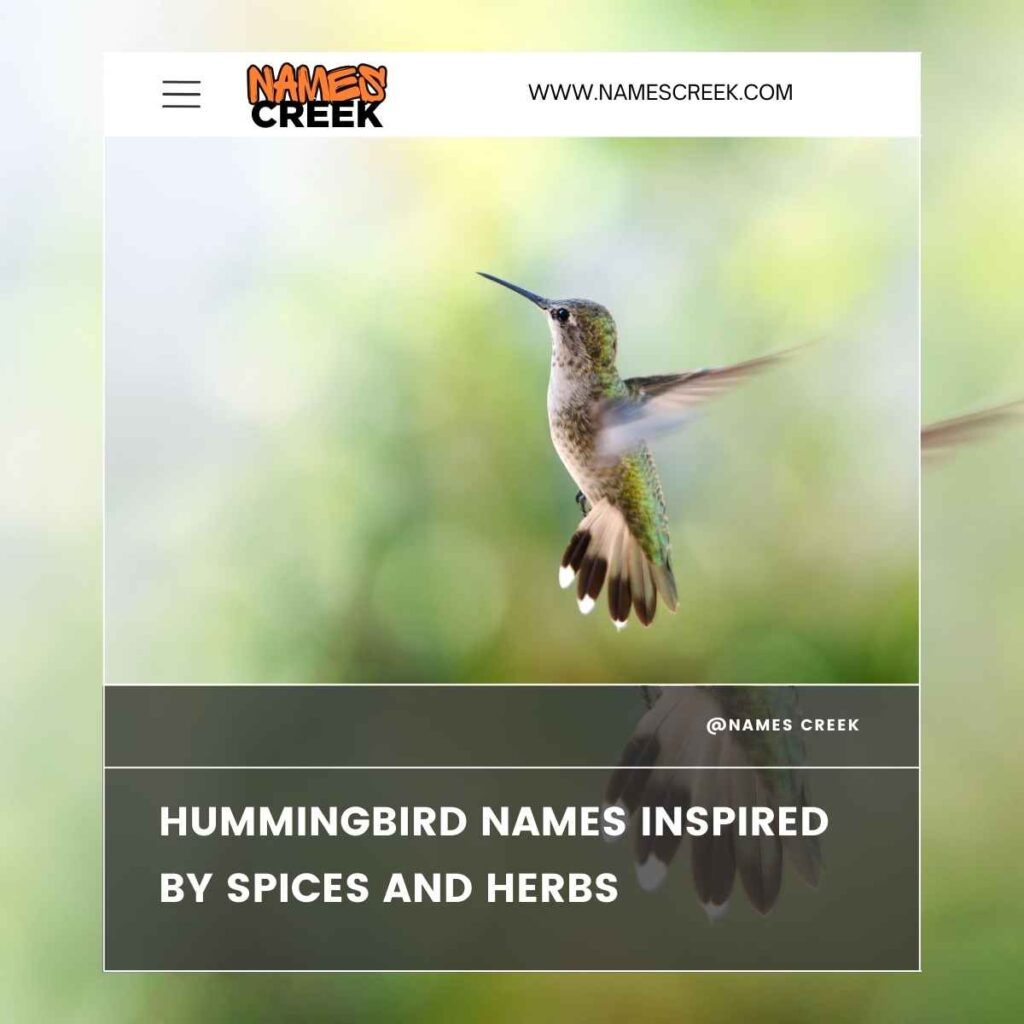 Hummingbird Names Inspired by Spices and Herbs