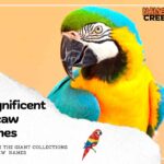 150 Magnificent Macaw Names: Colorful Inspiration for Your Feathered Friend