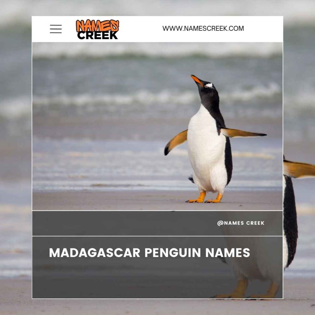 Madagascar Penguin Names