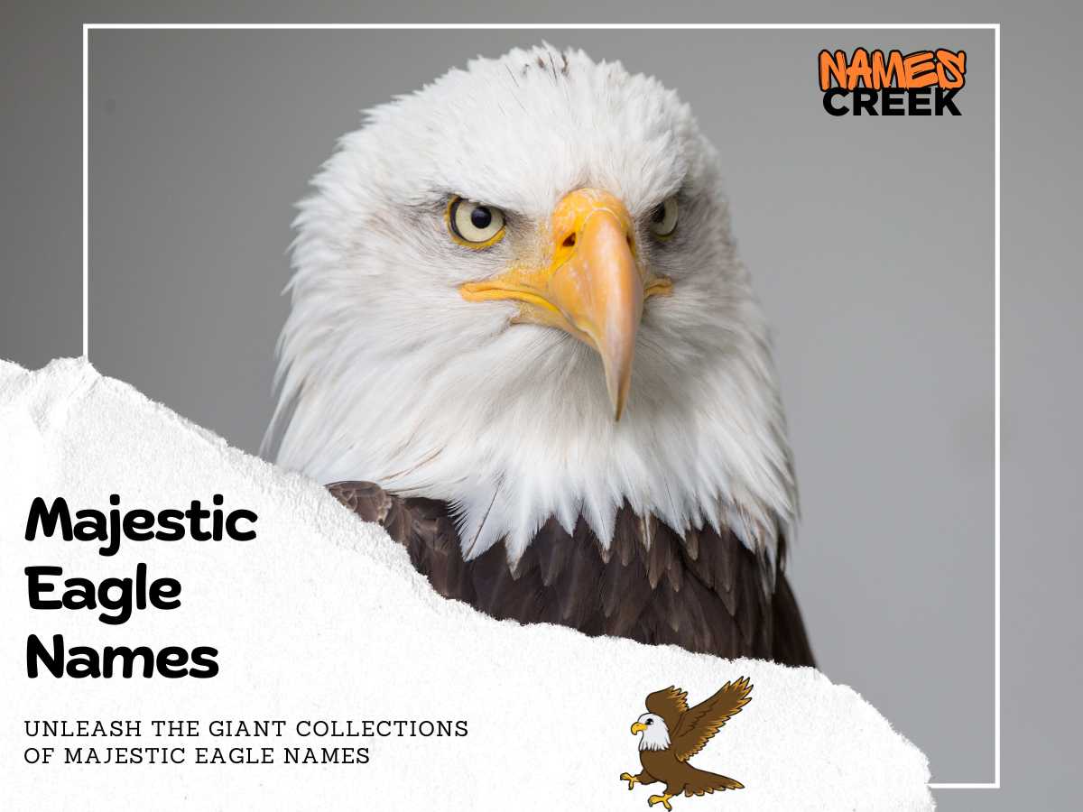 Majestic Eagle Names