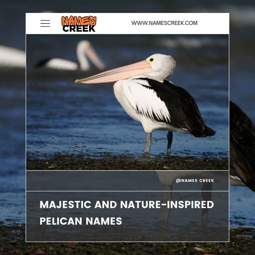 Majestic and Nature-Inspired Pelican Names