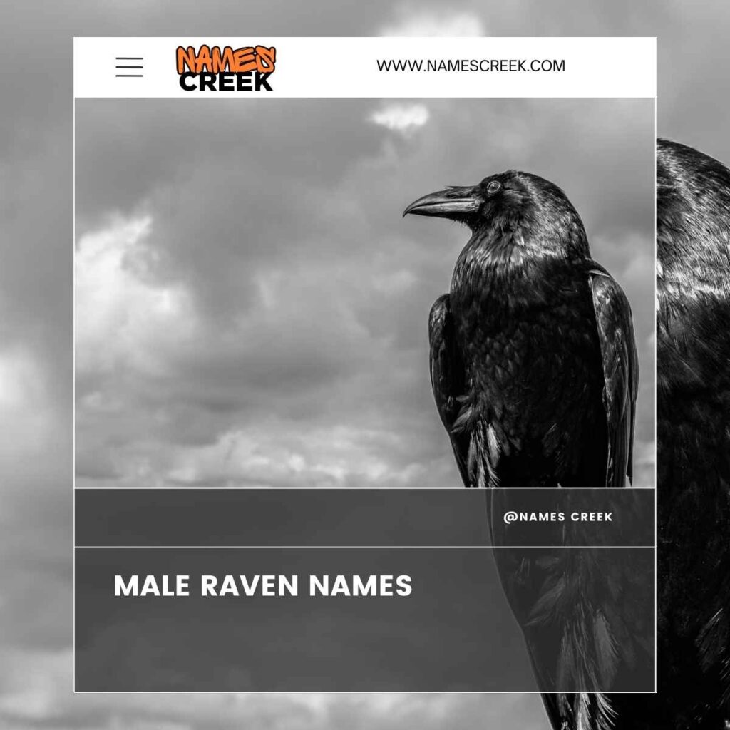 Male Raven Names