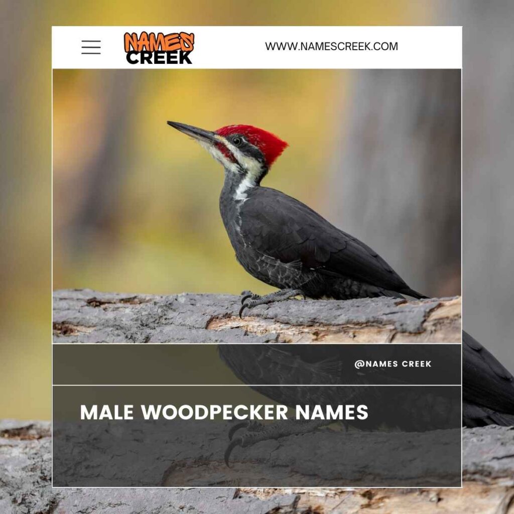 Male Woodpecker Names