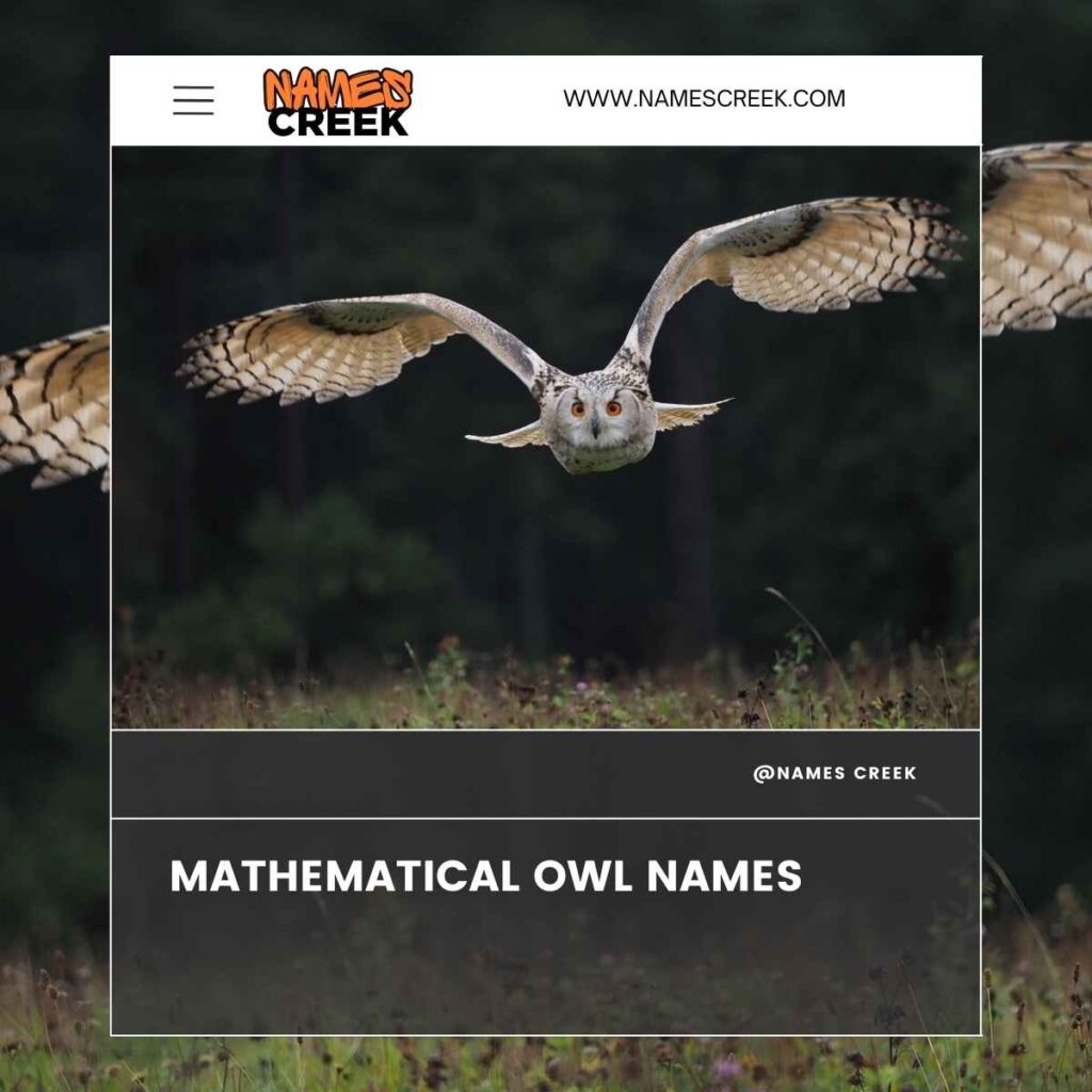 Mathematical Owl Names