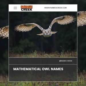 550+ Cute Owl Names: From Mythology To Modern Monikers +Generator