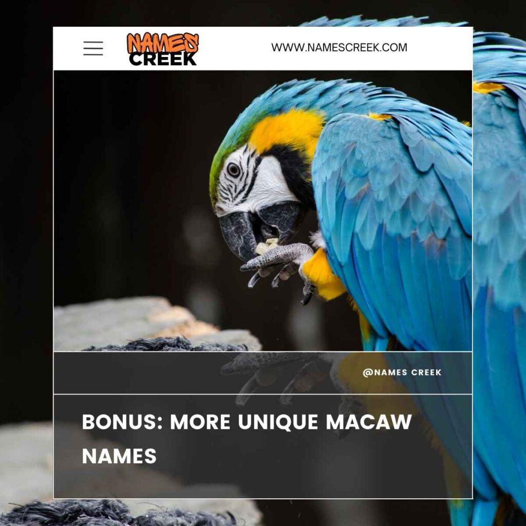 More Unique Macaw Names