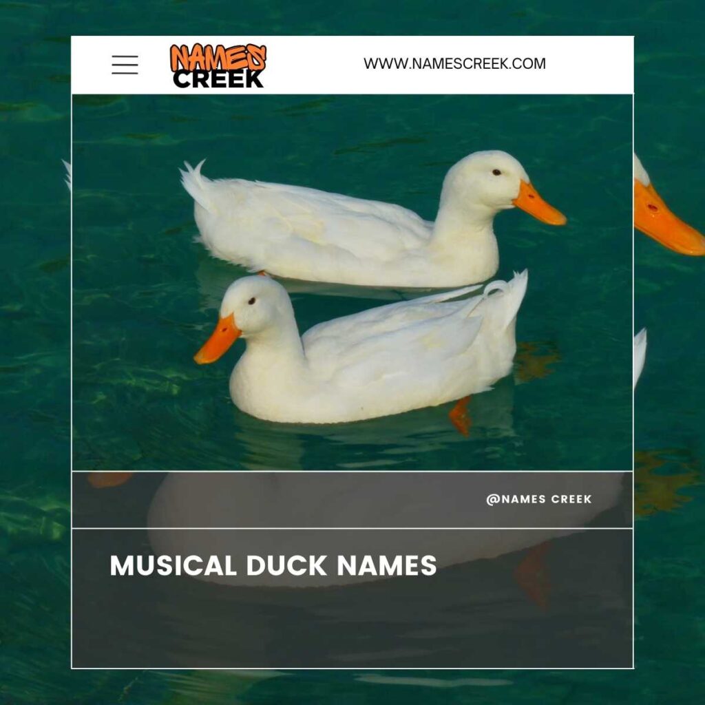 Musical Duck Names