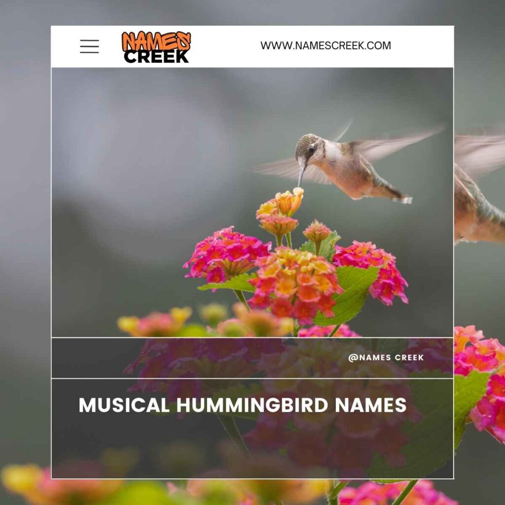 Musical Hummingbird Names