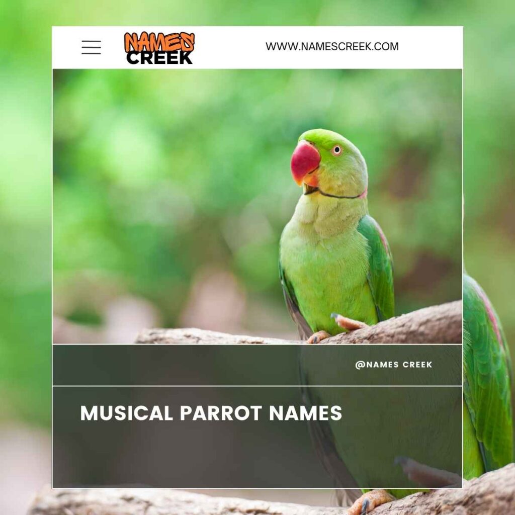 Musical Parrot Names