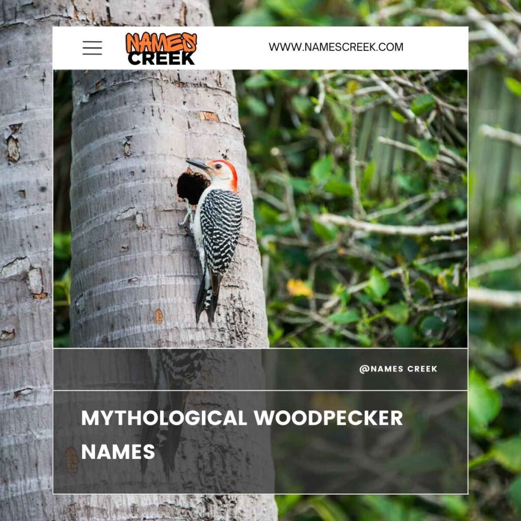 Mythological Woodpecker Names