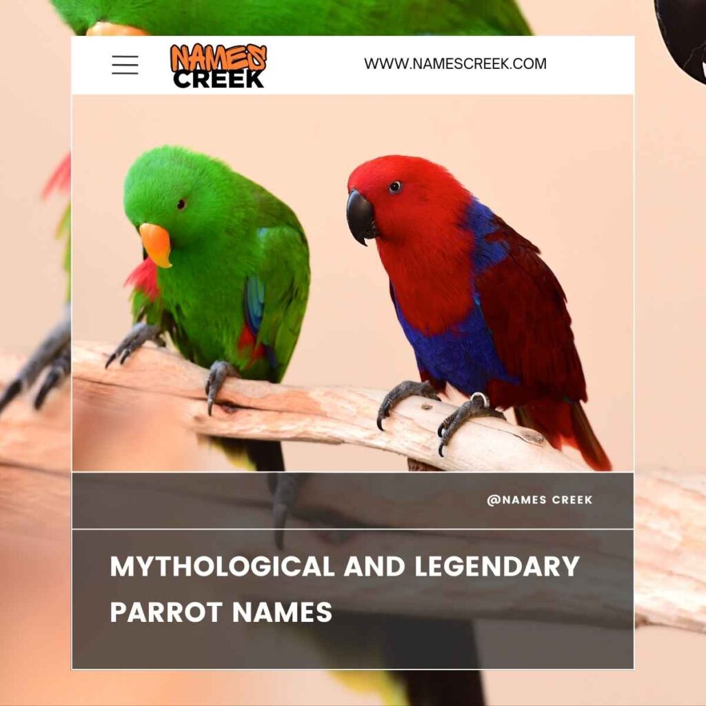 Mythological and Legendary Parrot Names