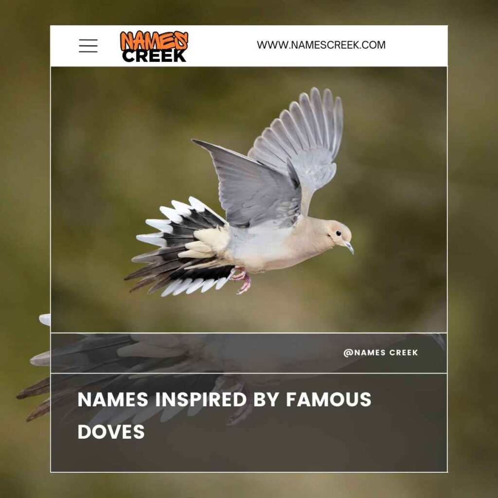 Names Inspired by Famous Doves