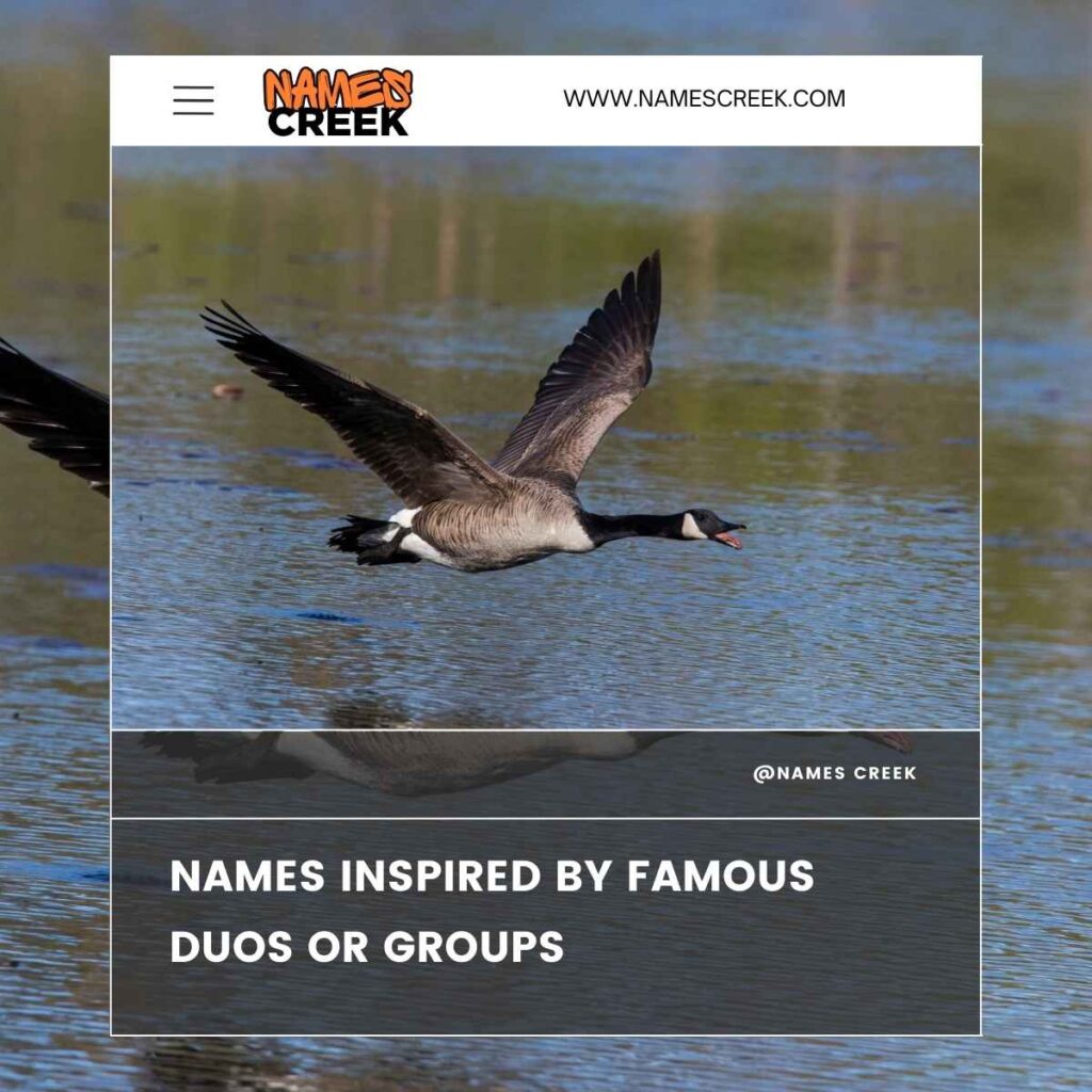 Names Inspired by Famous Duos or Groups