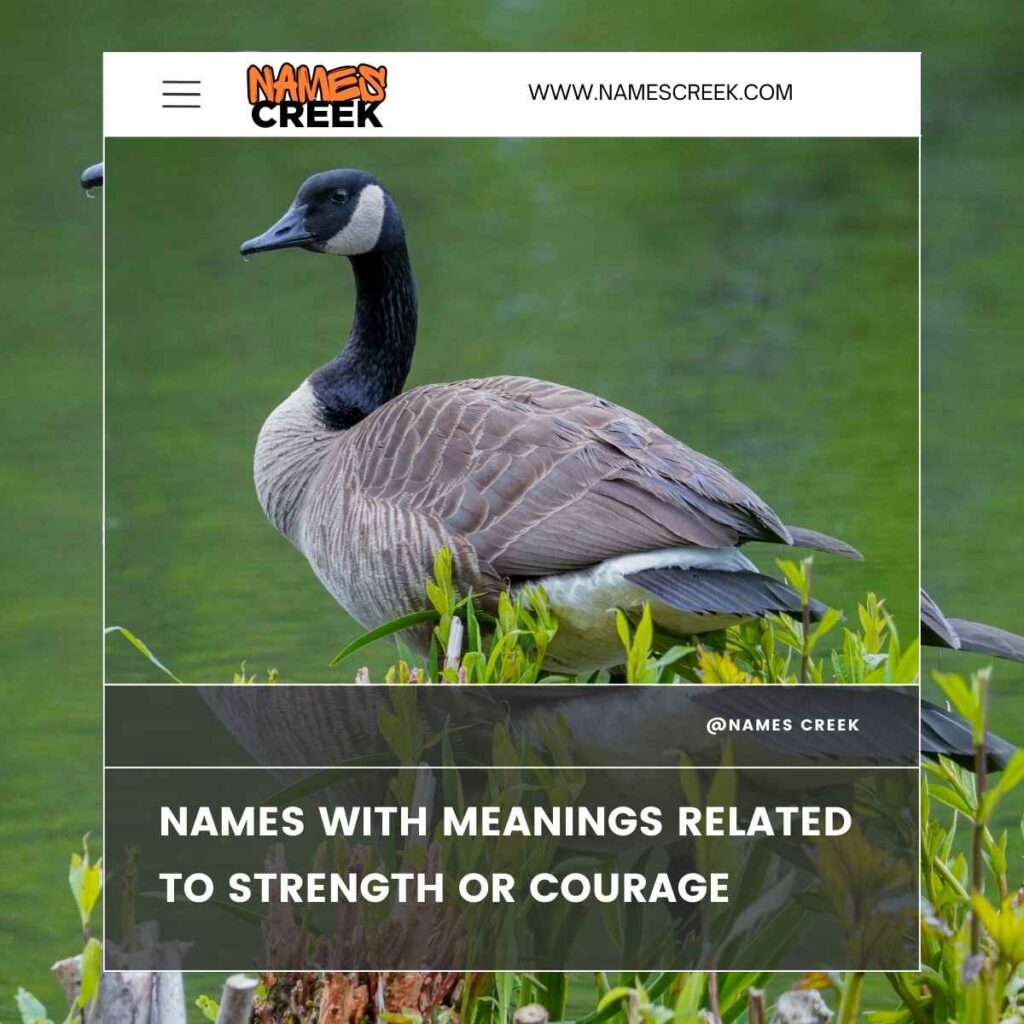 Names with Meanings Related to Strength or Courage