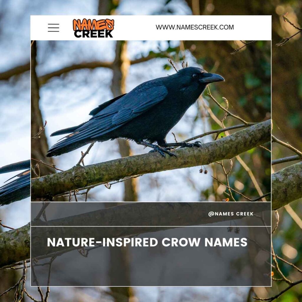 Nature-Inspired Crow Names